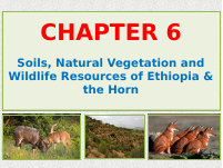 geography chapter6.pdf